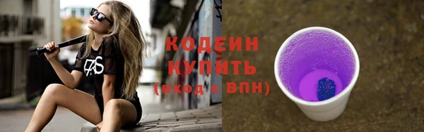индика Нея