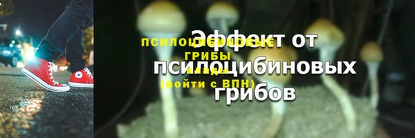 хмурый Новозыбков
