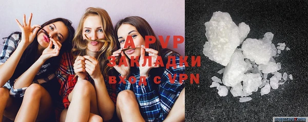 хмурый Новозыбков
