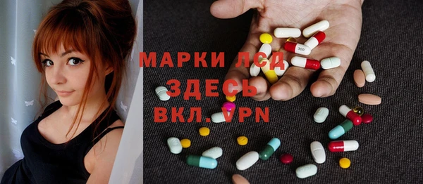 хмурый Новозыбков