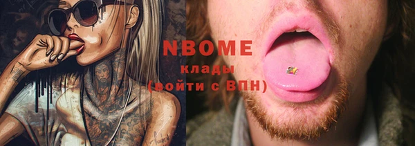 хмурый Новозыбков