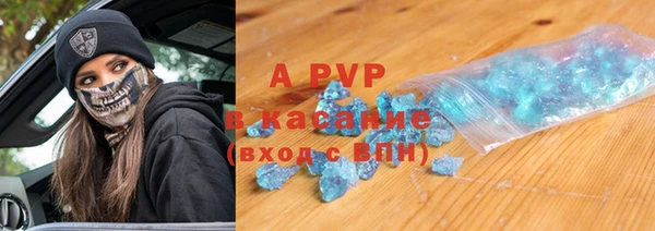 индика Нея
